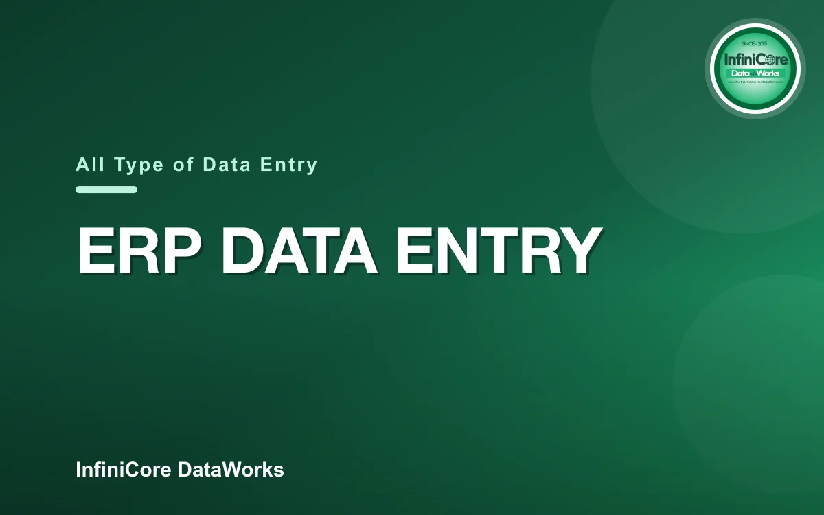 ERP Data Entry
